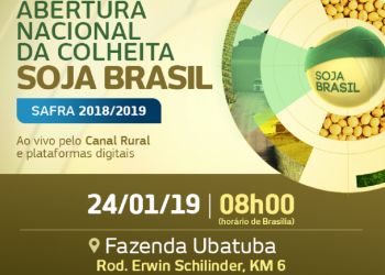 Tudo pronto para a Abertura da Colheita de Soja em Apucarana (PR)