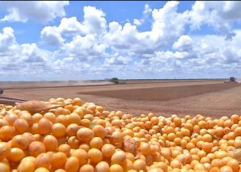 Encontro Nacional de Agricultores Indígenas acontece em Mato Grosso