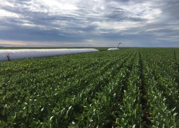 Aprosoja apresenta diagnóstico da produção e desafios a deputados e prefeitos do Piauí