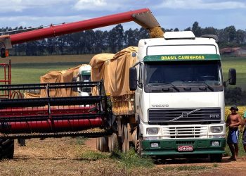 Justiça derruba cobrança de ICMS sobre frete de produtos para exportação em Tocantins