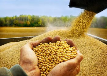 Produtores da Aprosoja Brasil aderem ao Instituto Soja Livre