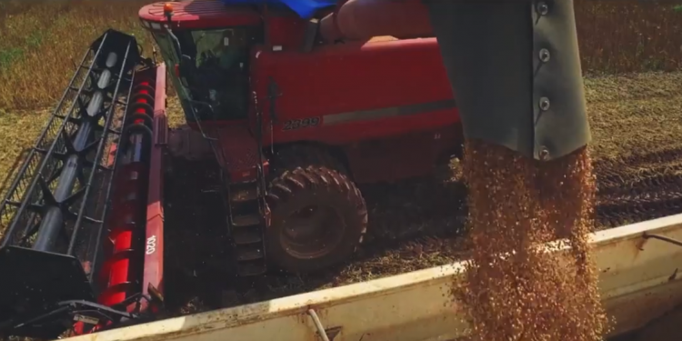 “Plataforma AgroSaber: a pior praga é a desinformação” é lançada para debater sobre agrotóxicos
