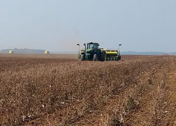 Produtor de soja de Rondônia precisa colher 64 sacas para pagar custos