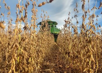 MP do Agro: Aprosoja Brasil busca votos para aprovar texto antes do carnaval