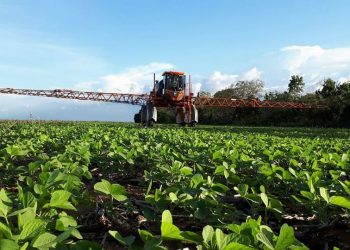 Produtores do Piauí conseguem garantia de investimento imediato em estradas do Cerrado
