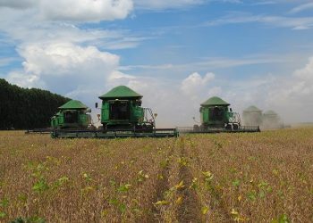 Baixa Grande do Ribeiro coloca Piauí no mapa da agriculta que mais cresce no Brasil