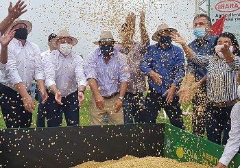 Saiba como foi a Abertura da Colheita de Soja em Luis Eduardo Magalhães (BA)
