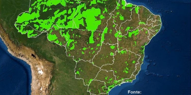 Artigo: O campeão da proteção florestal