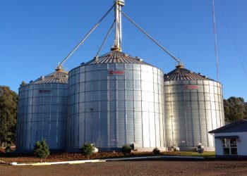 Aprosoja Brasil propõe destinar R$ 3 bi do Plano Safra 21/22 para construção de armazéns: “Armazenagem é crucial”