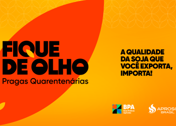 Aprosoja Brasil lança campanha de prevenção às pragas quarentenárias