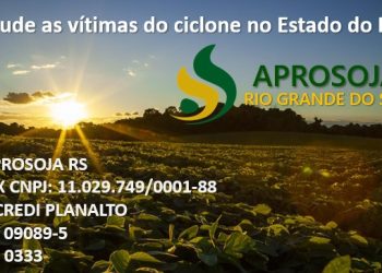 Produtores de soja arrecadam alimentos e donativos para vítimas de enchentes no RS