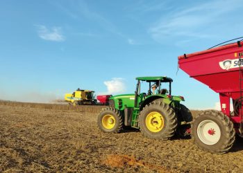 Recuperação judicial no agro cresce e reflete cenário de maior pressão sobre produtores
