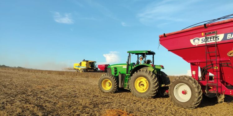 Recuperação judicial no agro cresce e reflete cenário de maior pressão sobre produtores