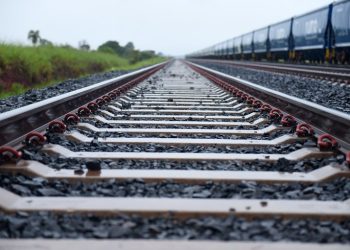 Sinal verde para implementação da Ferrogrão