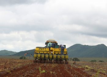 Faeg, Aprosoja-GO e Agopa conseguem antecipar plantio de soja para 25 de setembro em Goiás